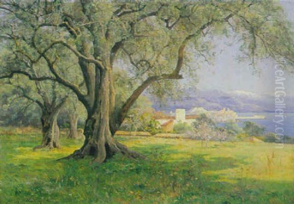 Landschaft Mit Blick Auf Kustenstreifen - view 1