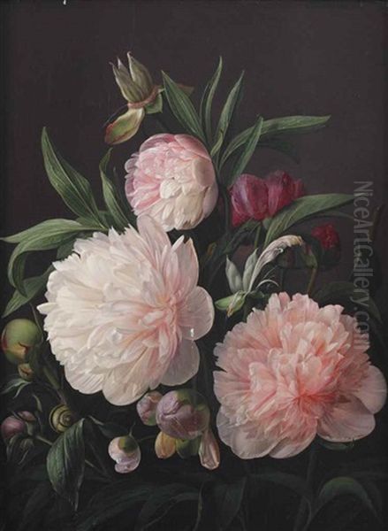 Blooming Peonies - view 1