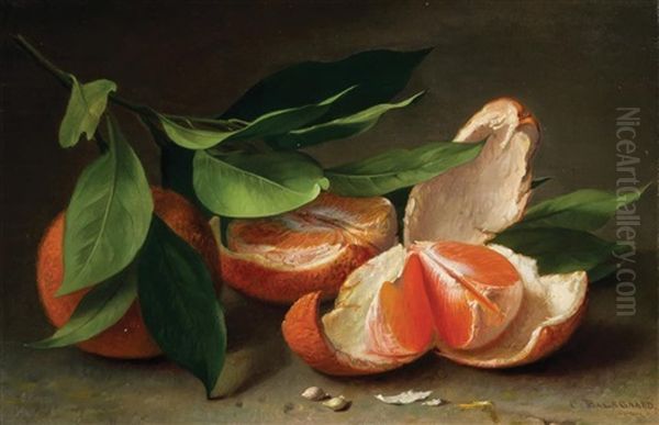 Still Life With Tangerine - view 1