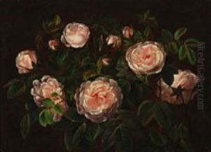 Pink Roses
