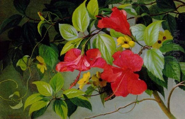 Hawaiiblomster - view 1
