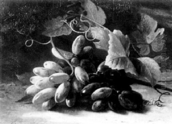 Still Life With Grapes - view 1