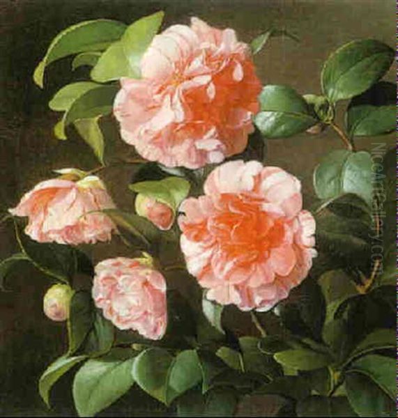 Pink Gardenias - view 1