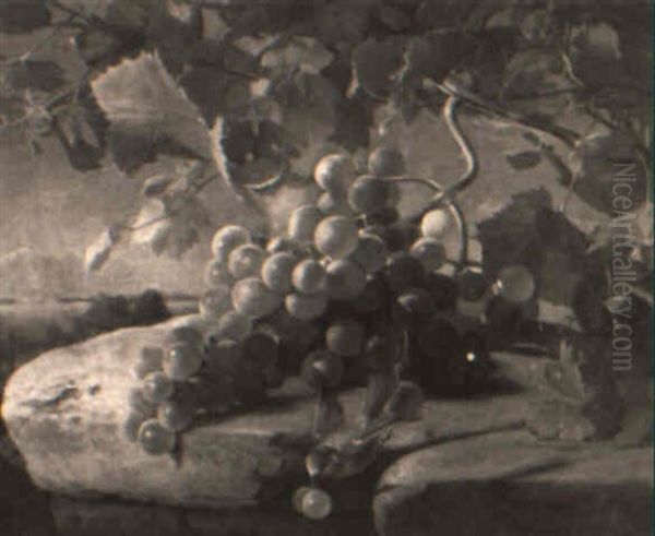 Still Life With Fruit On A Ledge - view 1