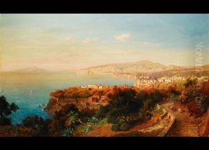 Blick Auf Die Bucht Von Capri