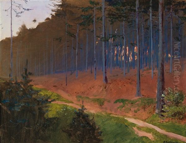 Forest Path Near Weinzierl (according To Tradition) - view 1