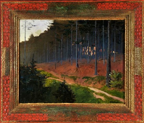 Waldweg - view 1