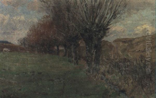 Weiden Saumen Den Weg - view 1