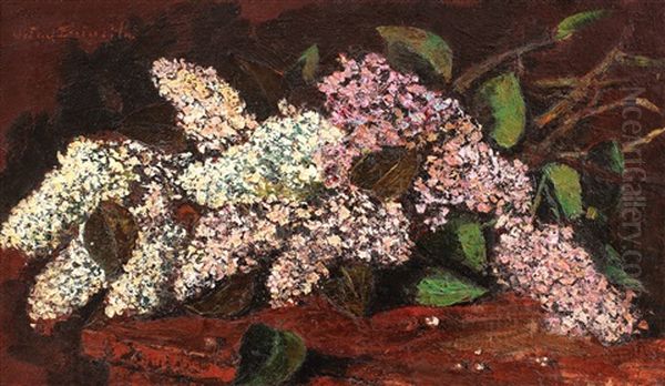 Flori De Liliac - view 1
