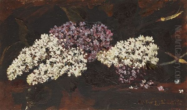 Lilac Flowers - view 1