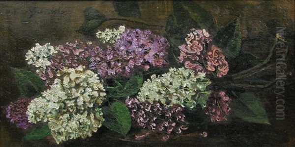 Lilac Flowers - view 1