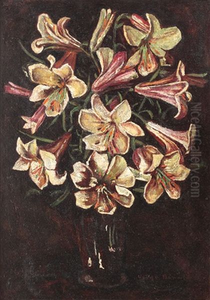 Madonna Lillies - view 1