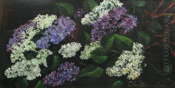 Lilac - view 1