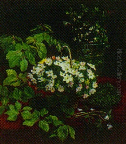 Opstilling Med Anemoner Og Bogegrene - view 1