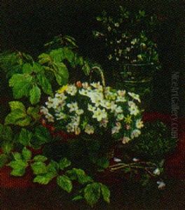 Opstilling Med Anemoner Og Bogegrene