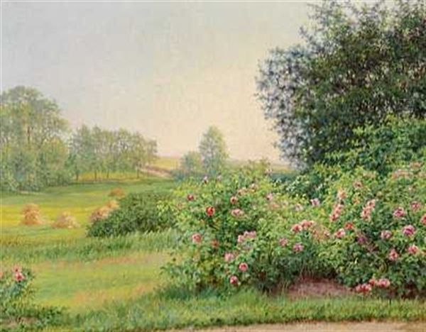 Landskab Med Blomstrende Roser. I Baggrunden Hostakke - view 1