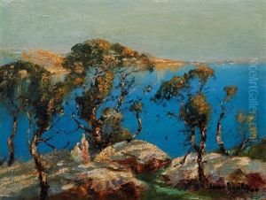 Sydney Harbour by John Banks