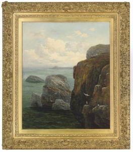 The Farne Islands by Thomas J. Banks