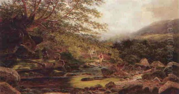 On The River Esk, Goathland, North Yorkshire - view 1