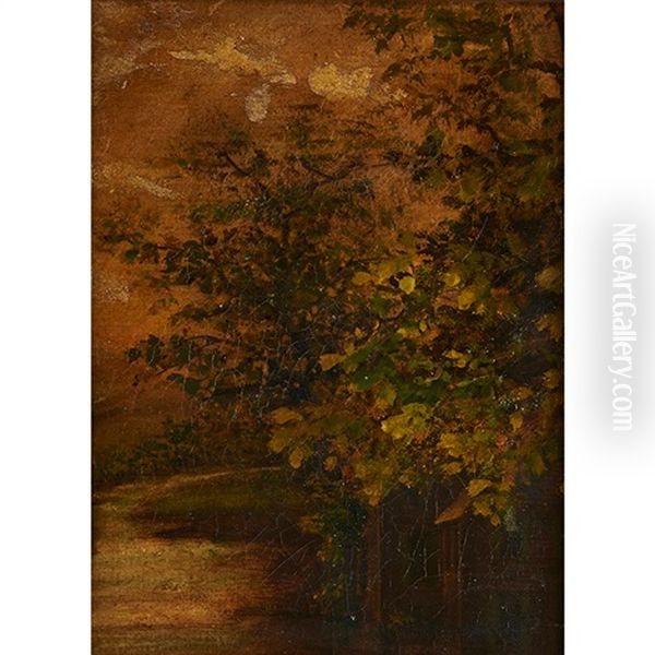 Landscape - view 1