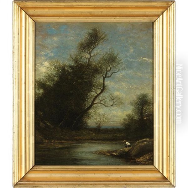 Landscape - view 1