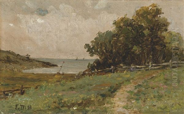Coastline Path - view 1