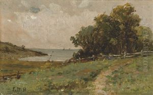 Coastline Path Coastline Path