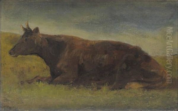Reclining Cow - view 1