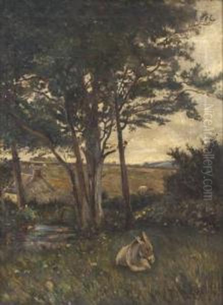 Donkey Resting By A River - view 1