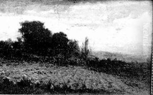 Crows In The Cornfield