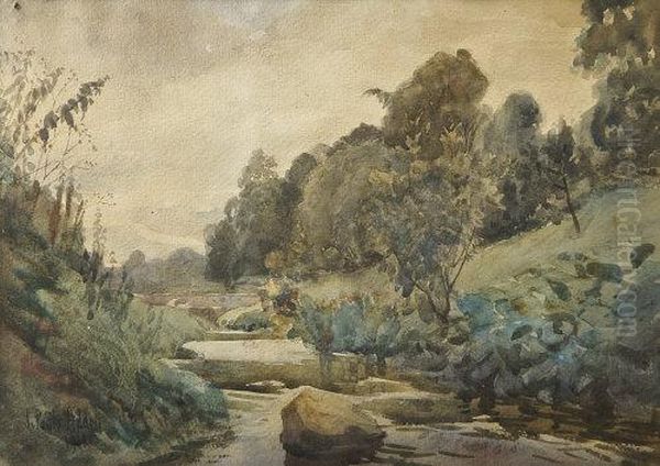 The River Dodder Near Rathfarnham - view 1