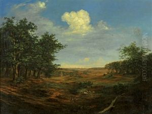 Blick Uber Den Milchgrund In Harburg Mit Blick Auf Hamburg