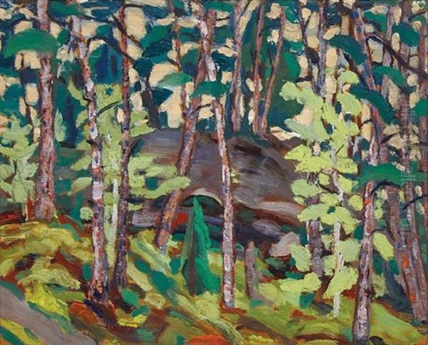 Temagami - view 1