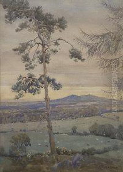 From Near Stepaside - view 1