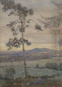 From Near Stepaside by Joseph Poole Addey