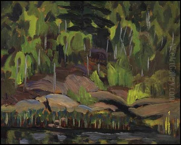 Burnt Lake, Dorset, Ontario - view 1