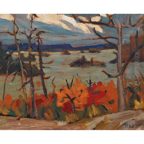 The Freddy Channel, Georgian Bay - view 1