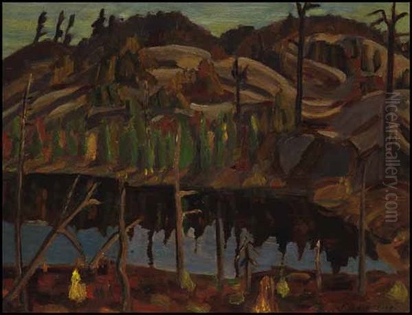 Northern Landscape - view 1
