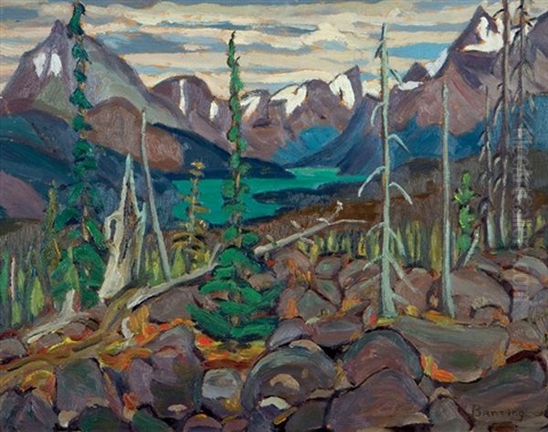 Maligne Lake - Canadian Rockies - view 1