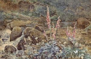 Fox Gloves By A Summer Stream by Joseph Poole Addey