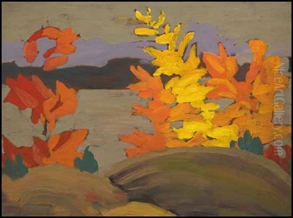 Trees In Autumn - view 1