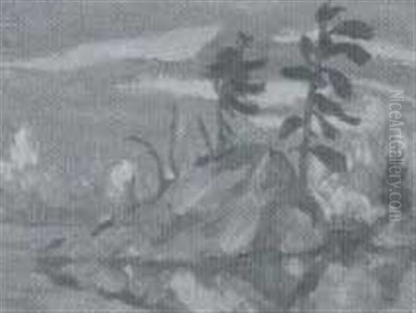 Autumn Landscape - view 1