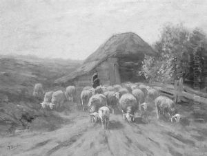 Herding The Sheep Herding The Sheep