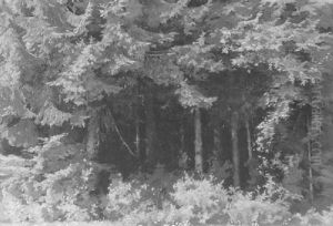 Wiese Am Waldrand