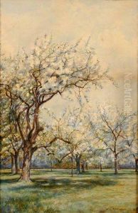 In The Cherry Orchard by William Grylls Addison