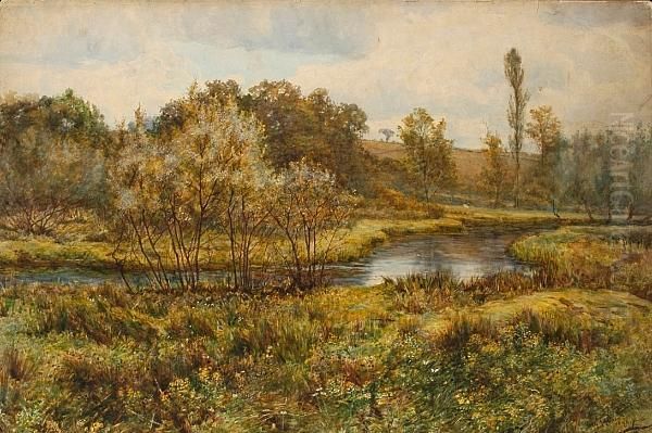 River Landscape - view 1