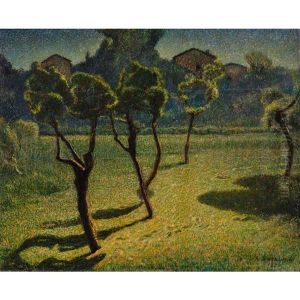 Sole Sul Prato Sole Sul Prato
