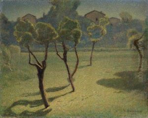 Sole Sul Prato Sole Sul Prato