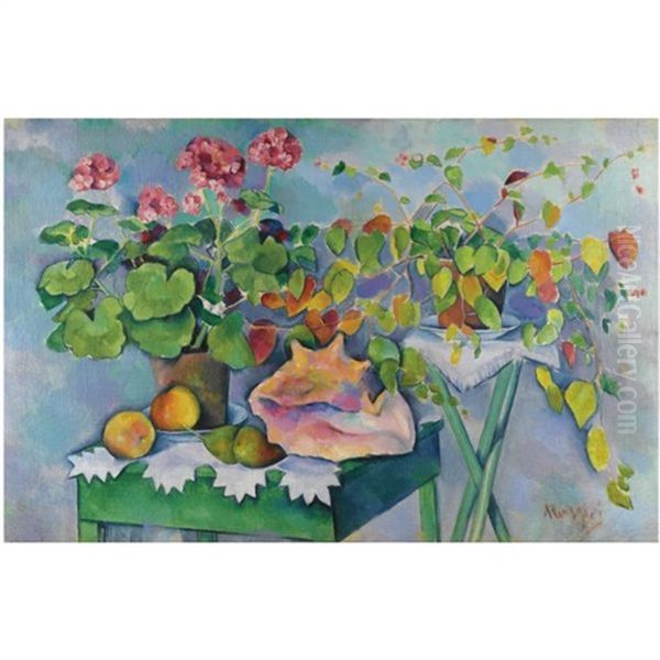 Still Life With Shell - view 1