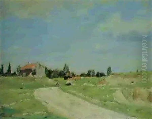 Vej Mellem Marker - view 1